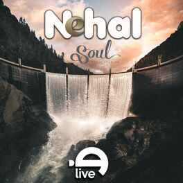 Album cover of Nehal Soul