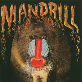 Album cover of Mandrill