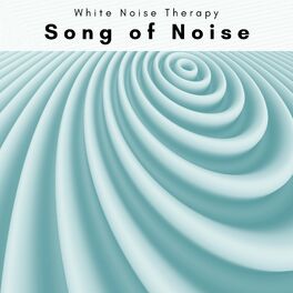Album cover of 1 Song of Noise
