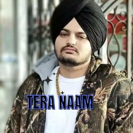 Album cover of Tera Naam