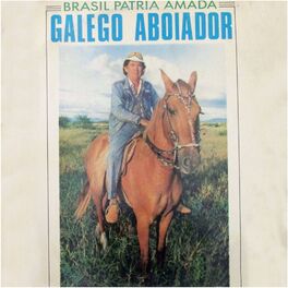 Album cover of Brasil Pátria Amada