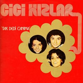 Album cover of Tak Dedi Canıma