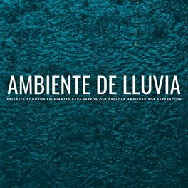 Album cover of Ambiente De Lluvia: Paisajes Sonoros Relajantes Para Perros Que Padecen Ansiedad Por Separación