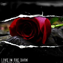 Album cover of Love in the Dark