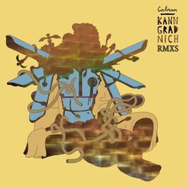 Album cover of Kann Grad Nich RemixS