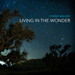 Album cover of Living in the Wonder