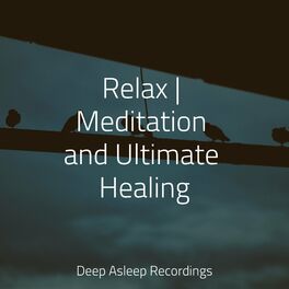 Album cover of Relax | Meditation and Ultimate Healing