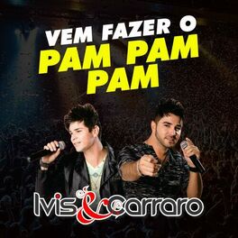 Album cover of Vem Fazer o Pam Pam Pam