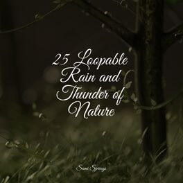 Album cover of 25 Loopable Rain and Thunder of Nature