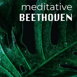 Album cover of Meditative Beethoven