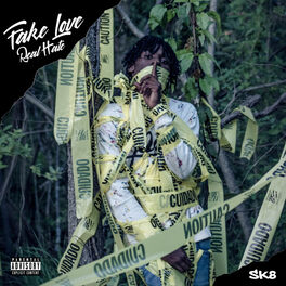 Album cover of Fake Love Real Hate