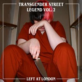 Album cover of Transgender Street Legend, Vol. 2