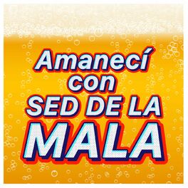 Album cover of Amanecí Con Sed De La Mala