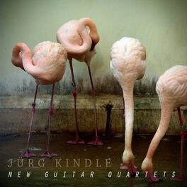 Album cover of New Guitar Quartets