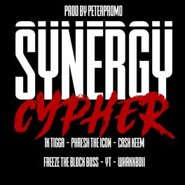 Album cover of SYNERGY CYPHER (feat. 1k Tigga, Phresh The Icon, Cash Keem, Freeze The Block Boss, YT & WhakkBoii)