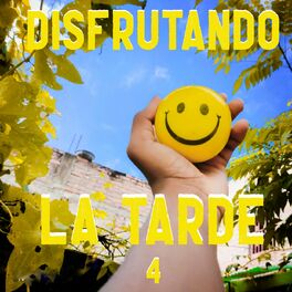 Album cover of Disfrutando La Tarde Vol. 4
