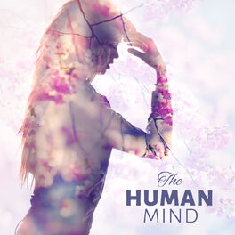 Mind and Body Sanctuary - The Human Mind - Concentration, Calm Background  Music for Homework, Brain Power, Relaxing Music: lyrics and songs | Deezer