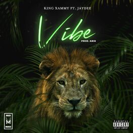 Album cover of Vibe (feat. Jaydee)