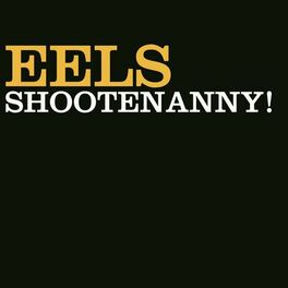 Album cover of Shootenanny!