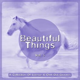 Album cover of Beautiful Things, Vol. 5 (A Collection Of Lounge & Chill Out Grooves)