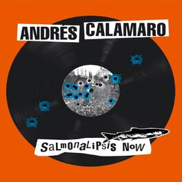 Album cover of Salmonalipsis now