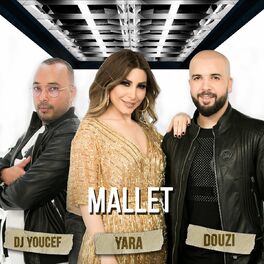 Album cover of Mallet