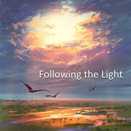 Album cover of Following the Light