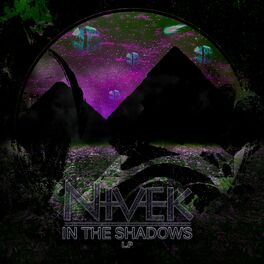 Album cover of In The Shadows