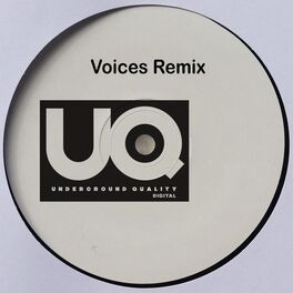 Album cover of Voices (Remixes)