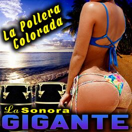 Album cover of La Pollera Colorada