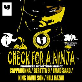 Album cover of Check for a Ninja (feat. Cappadonna, Hell Razah, King David Son & Beretta 9)
