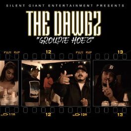 Album cover of Groupie Hoez