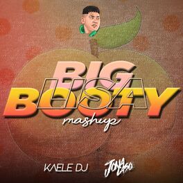 Album cover of Big Booty vs Lisa (Mashup Remix)