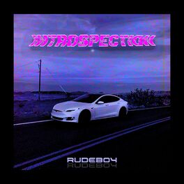 Album cover of Introspection