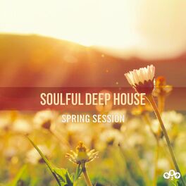Album cover of Soulful Deep House / Spring Session