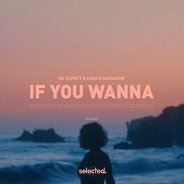 Album cover of If You Wanna