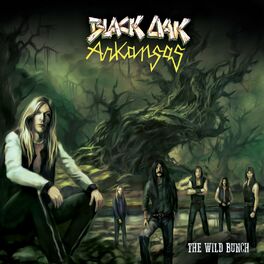 Album cover of The Wild Bunch