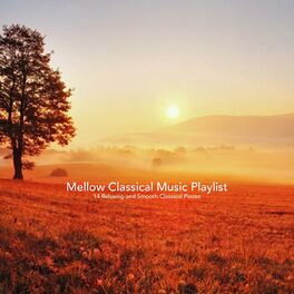 Album cover of Mellow Classical Music Playlist:14 Relaxing and Smooth Classical Pieces