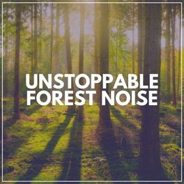 Album cover of Unstoppable Forest Noise