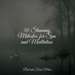 Album cover of 50 Stunning Melodies for Spa and Meditation