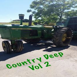 Album cover of Country Deep, Vol. 2