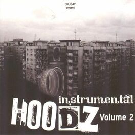 Album cover of Instrumental Hoodz, Vol. 2