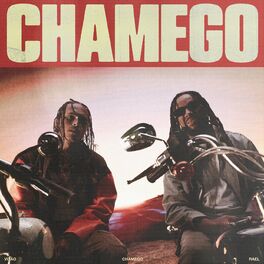 Album cover of Chamego