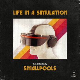 Album cover of LIFE IN A SIMULATION