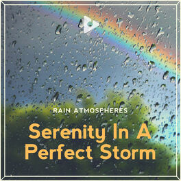Album cover of Serenity In A Perfect Storm