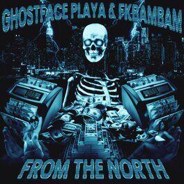 Album cover of FROM THE NORTH