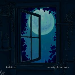 Album cover of Moonlight and Rain