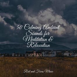 Album cover of 50 Calming Ambient Sounds for Meditation & Relaxation