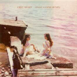 Album cover of Angel (Goose Remix)