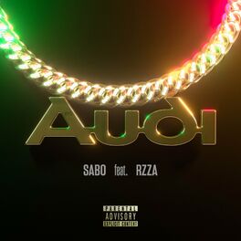 Album cover of Audi
